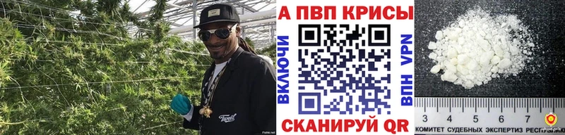 как найти   Поворино  A-PVP мука 