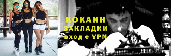 ПСИЛОЦИБИНОВЫЕ ГРИБЫ Новодвинск