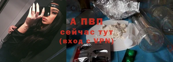 ПСИЛОЦИБИНОВЫЕ ГРИБЫ Новодвинск
