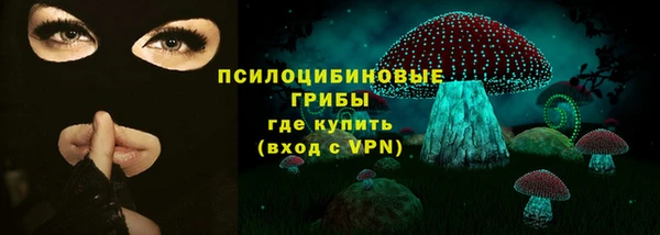 ПСИЛОЦИБИНОВЫЕ ГРИБЫ Новодвинск