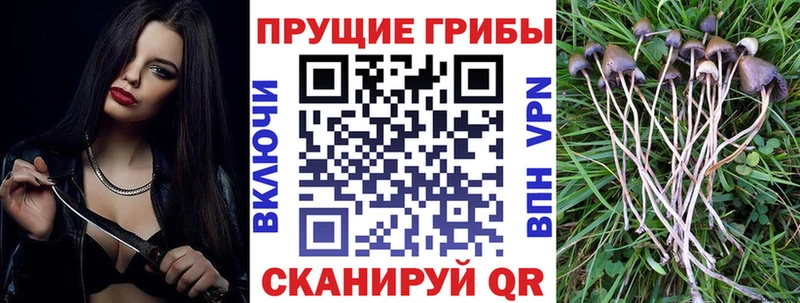 Галлюциногенные грибы Magic Shrooms  Поворино 